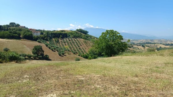 terreno in vendita a Castorano