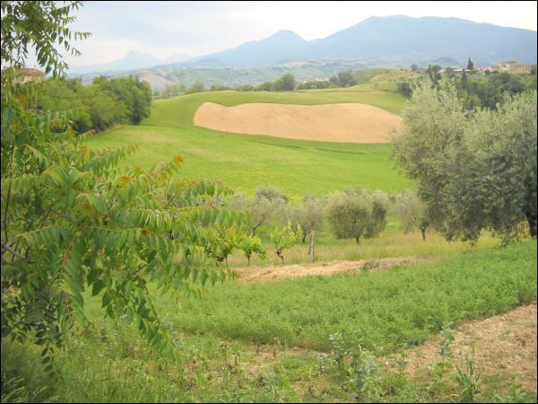 casa indipendente in vendita a Castorano