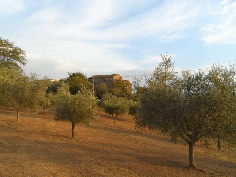 casa indipendente in vendita a Castorano