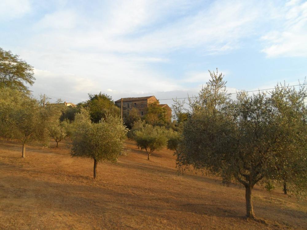 casa indipendente in vendita a Castorano