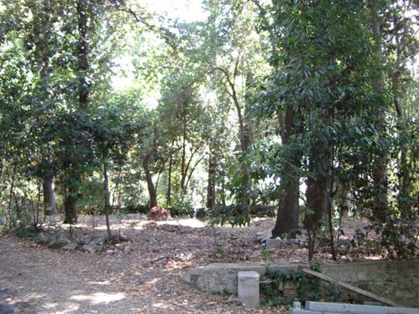villa in vendita a Colli del Tronto