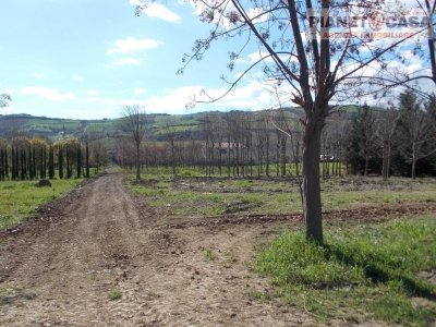 casa indipendente in vendita a Colli del Tronto