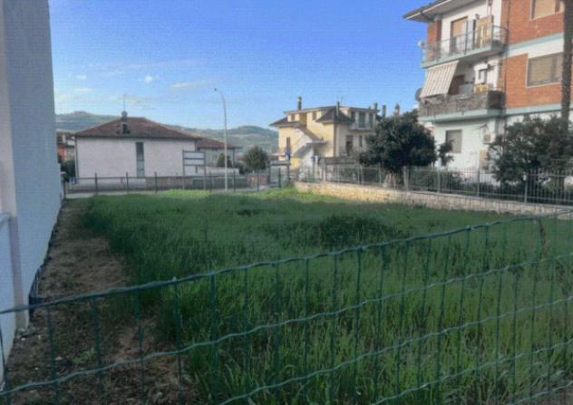 terreno agricolo in vendita a Colli del Tronto