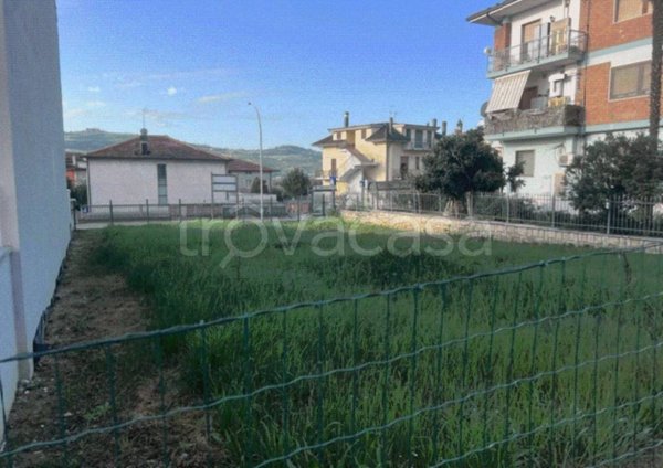 terreno agricolo in vendita a Colli del Tronto