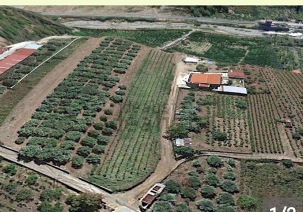casa indipendente in vendita a Colli del Tronto in zona Villa San Giuseppe