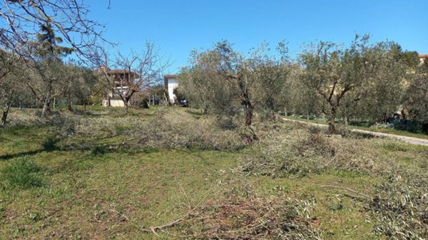 bifamiliare in vendita a Colli del Tronto