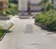 appartamento in vendita a Comunanza