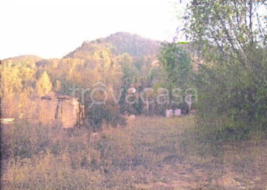 terreno agricolo in vendita a Comunanza