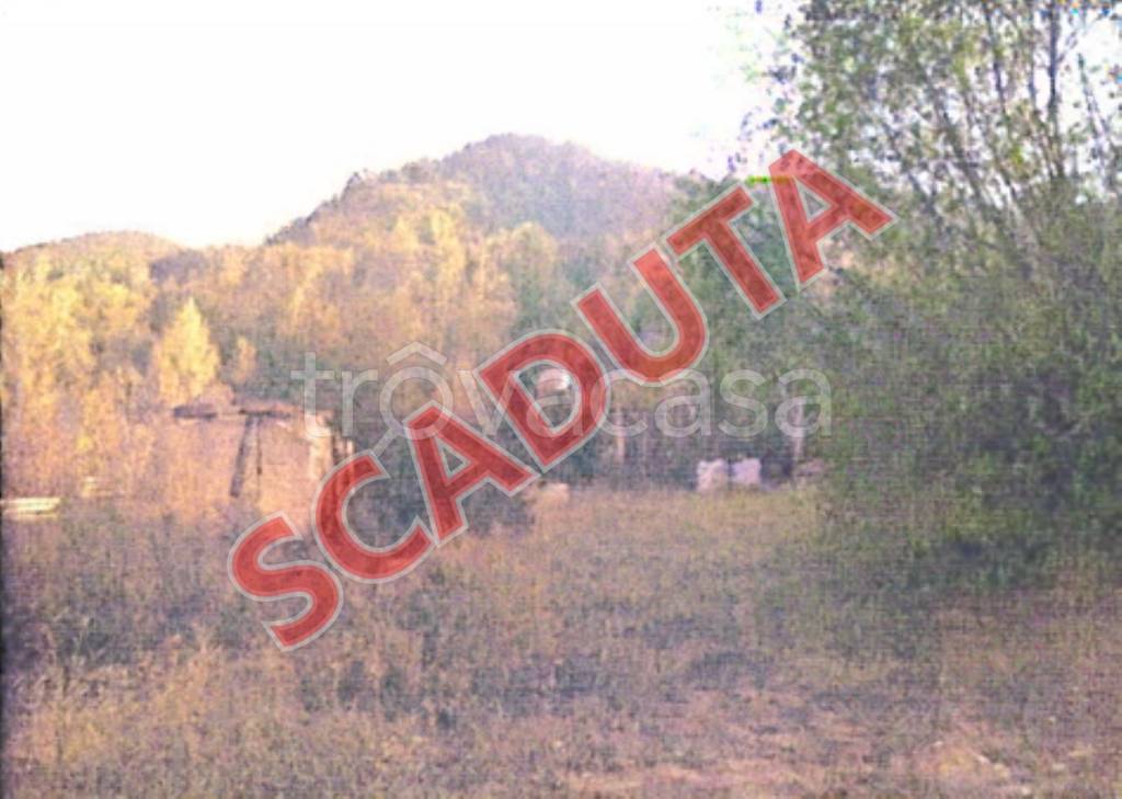 terreno agricolo in vendita a Comunanza