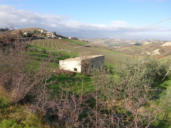 casa indipendente in vendita a Cossignano