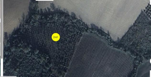 terreno agricolo in vendita a Cossignano