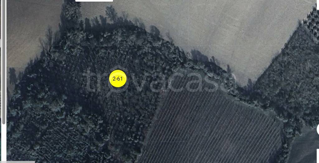 terreno agricolo in vendita a Cossignano