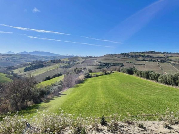 casa indipendente in vendita a Cossignano