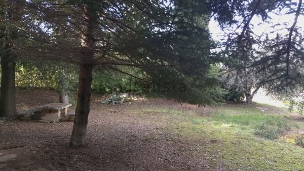 casa indipendente in vendita a Cossignano