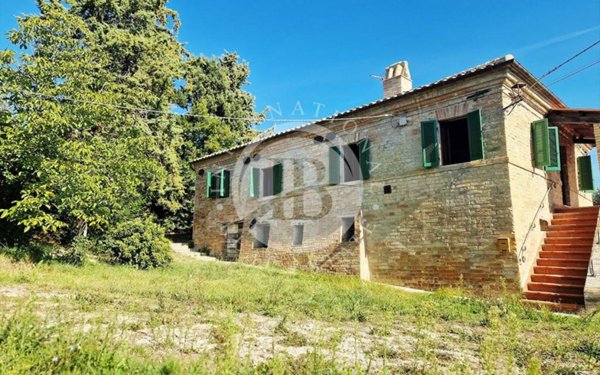 terreno agricolo in vendita a Cossignano