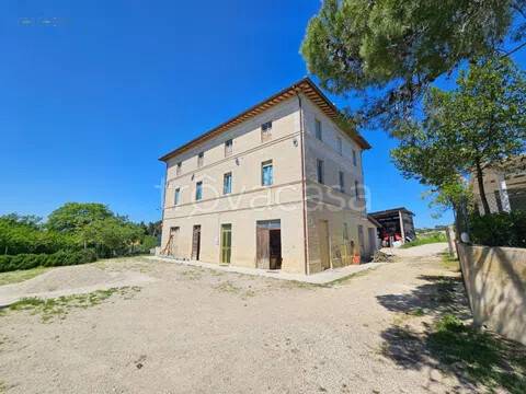 casa indipendente in vendita a Cossignano in zona Ponte Tesino