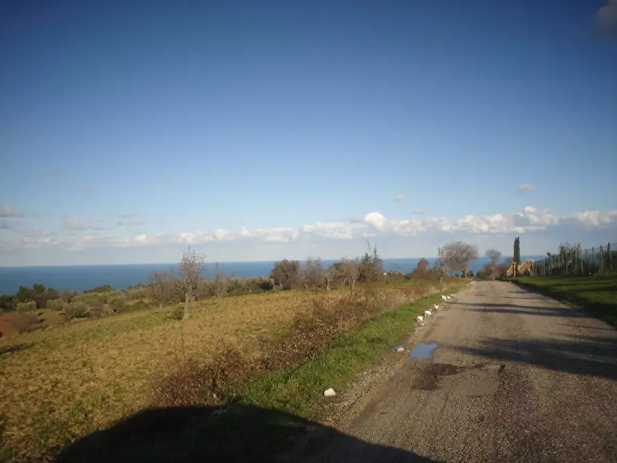terreno agricolo in vendita a Cupra Marittima
