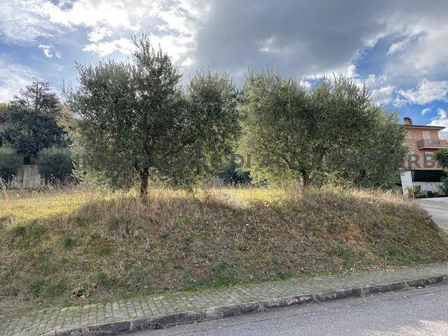 casa indipendente in vendita a Cupra Marittima