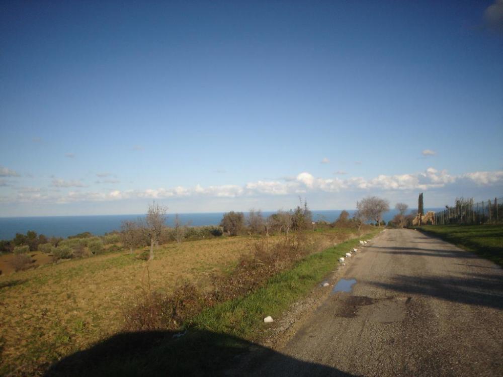 terreno agricolo in vendita a Cupra Marittima