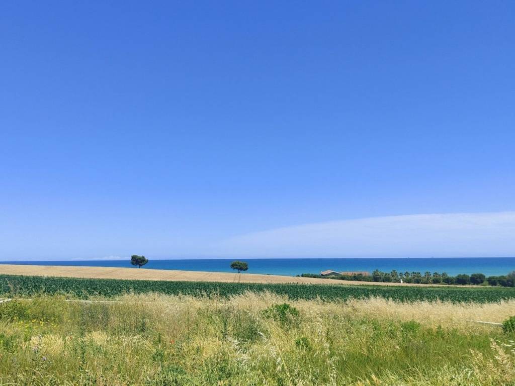 terreno agricolo in vendita a Cupra Marittima