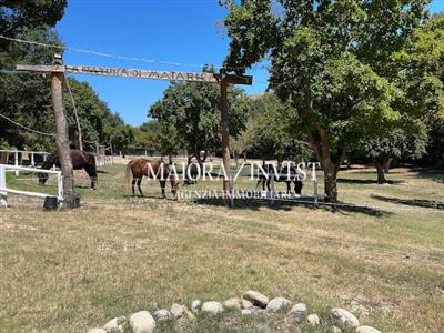 azienda agricola in vendita a Cupra Marittima