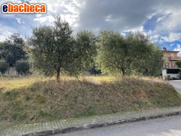 casa indipendente in vendita a Cupra Marittima