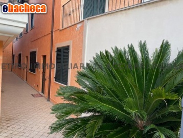 appartamento in vendita a Cupra Marittima