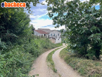 appartamento in vendita a Cupra Marittima