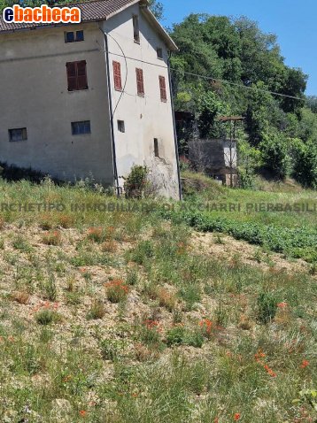 appartamento in vendita a Cupra Marittima