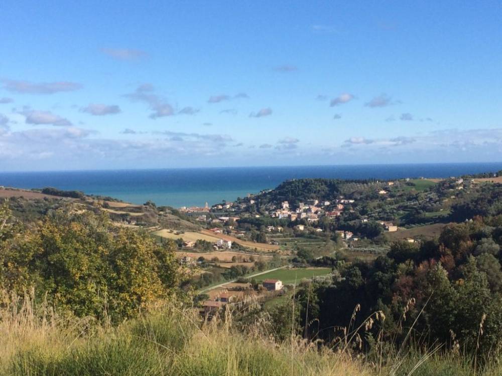 casa indipendente in vendita a Cupra Marittima