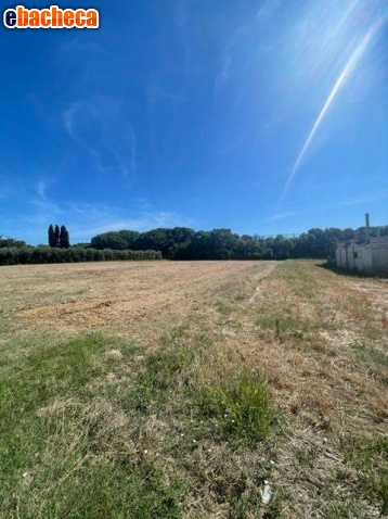 casa indipendente in vendita a Cupra Marittima
