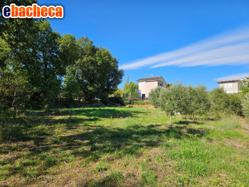 casa indipendente in vendita a Cupra Marittima