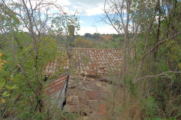 casa indipendente in vendita a Cupra Marittima