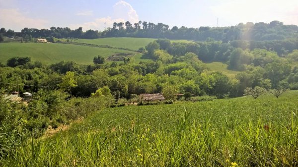 casale in vendita a Cupra Marittima