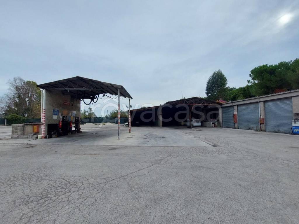 locale commerciale in vendita a Cupra Marittima