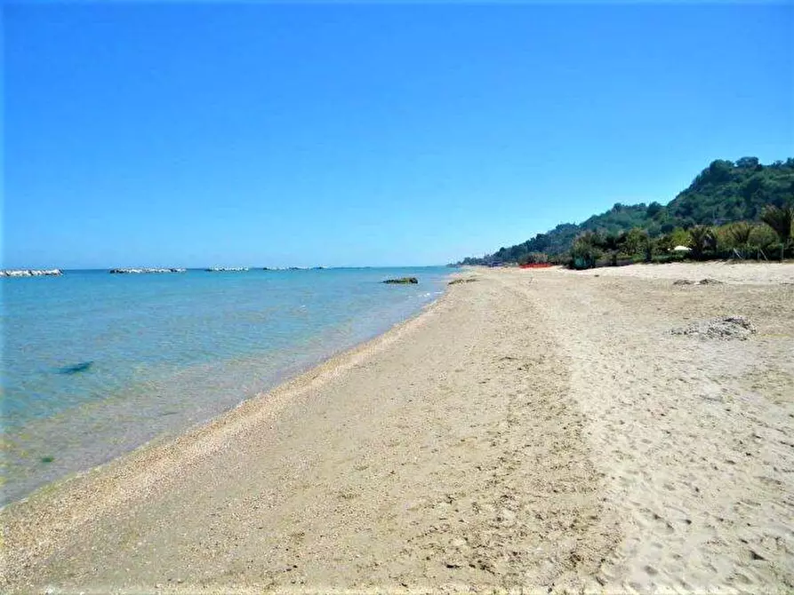 immagine annuncio 0 di 5