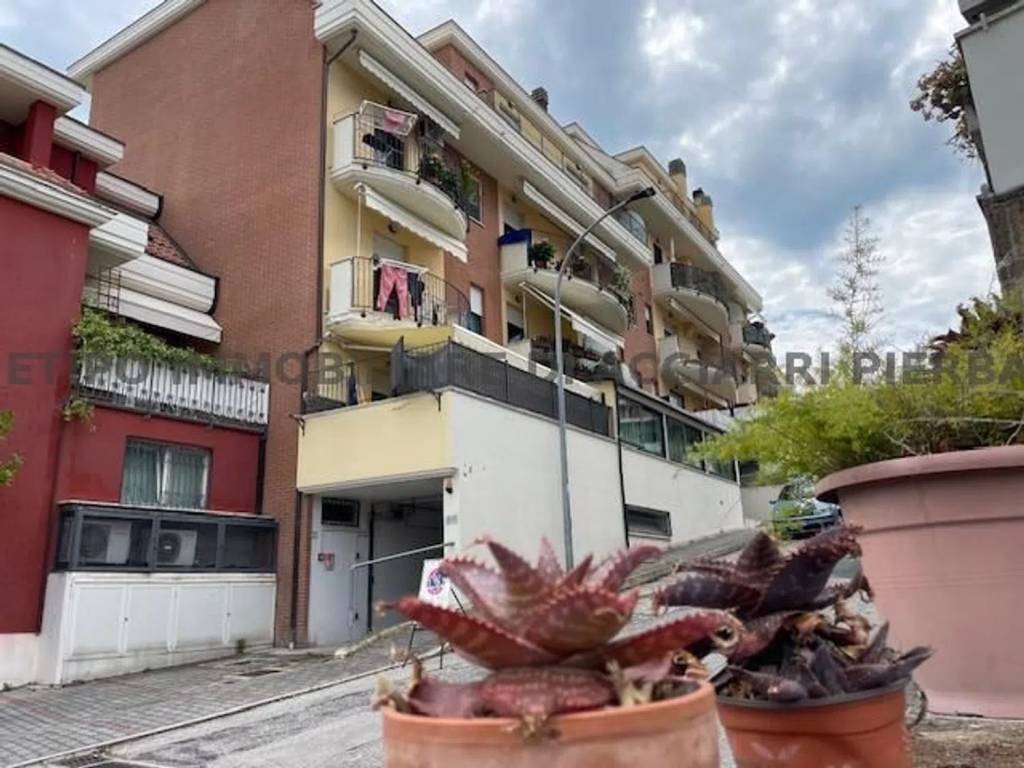 appartamento in vendita a Cupra Marittima