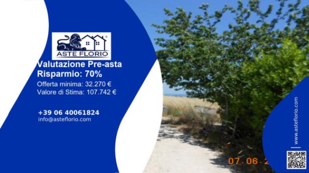 terreno agricolo in vendita a Cupra Marittima