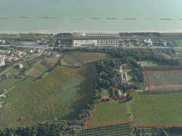 terreno agricolo in vendita a Cupra Marittima