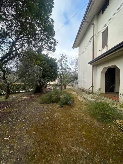 casa indipendente in vendita a Cupra Marittima