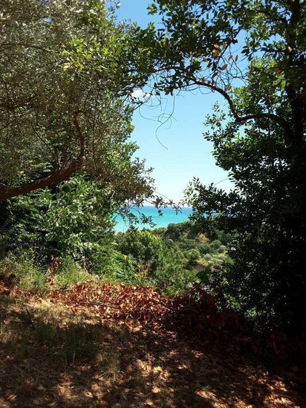 casa indipendente in vendita a Cupra Marittima