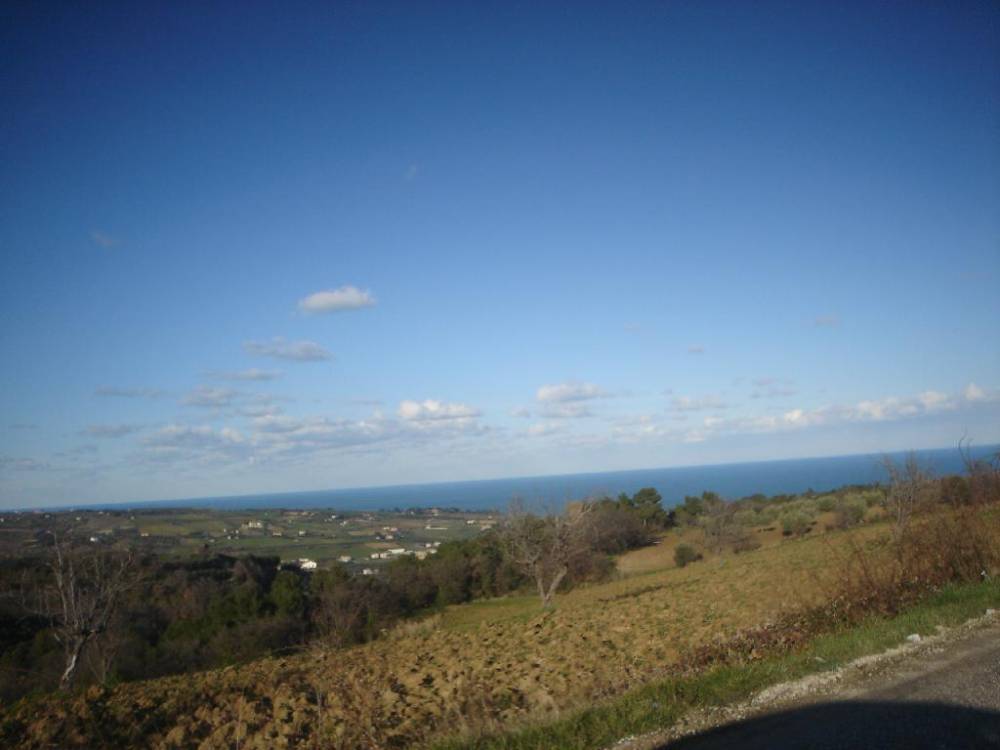 terreno agricolo in vendita a Cupra Marittima