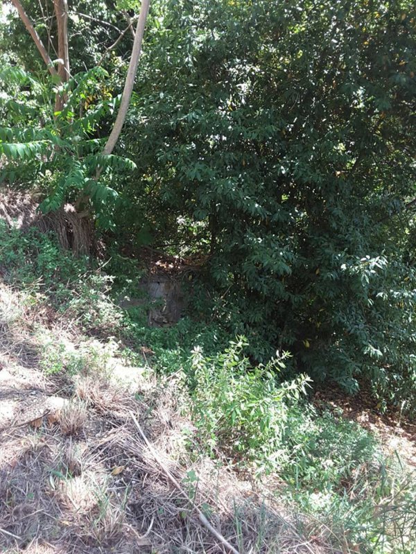 casa indipendente in vendita a Cupra Marittima