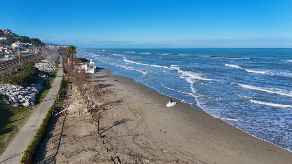 terreno agricolo in vendita a Cupra Marittima