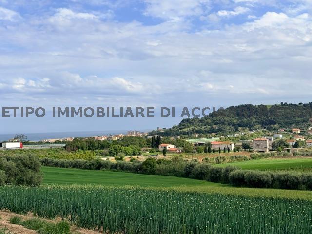 terreno agricolo in vendita a Cupra Marittima