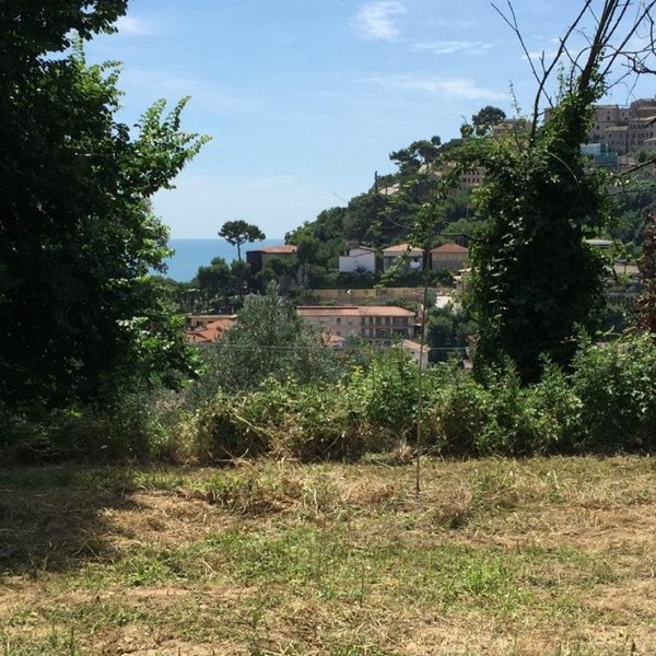 appartamento in vendita a Cupra Marittima