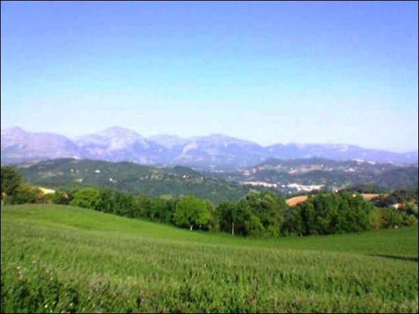 casa indipendente in vendita a Force