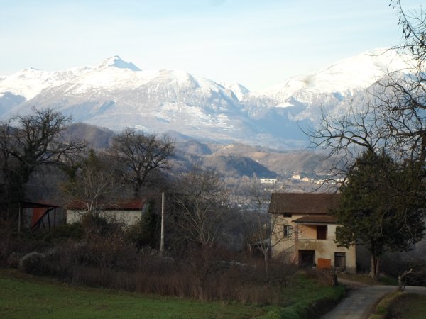 casa indipendente in vendita a Force