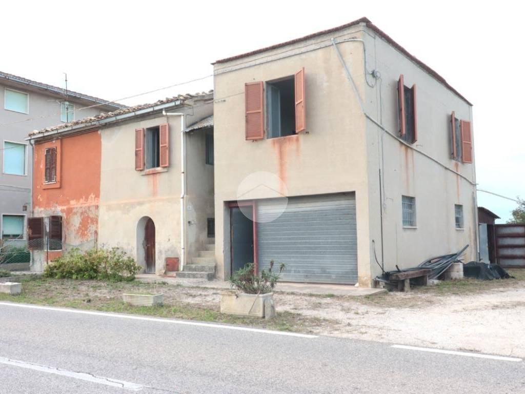 immagine annuncio 0 di 1