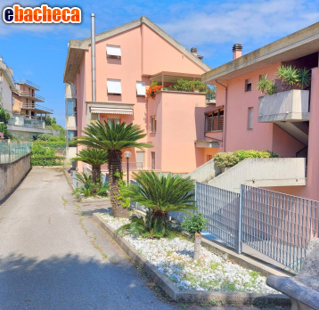 appartamento in vendita a Grottammare
